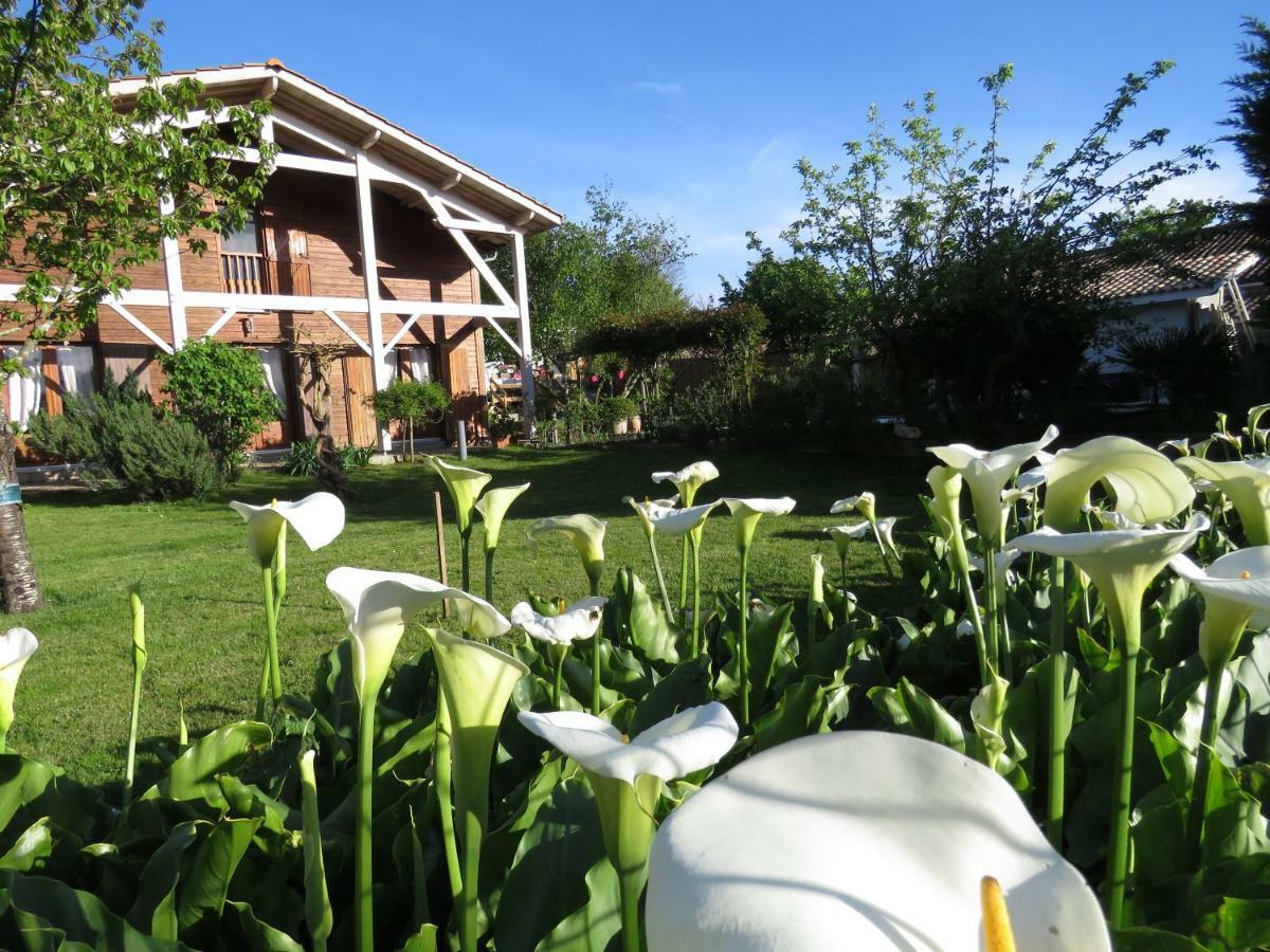 Les Arums De Fondeminjean Bed & Breakfast Vertheuil-en-Medoc Exterior photo